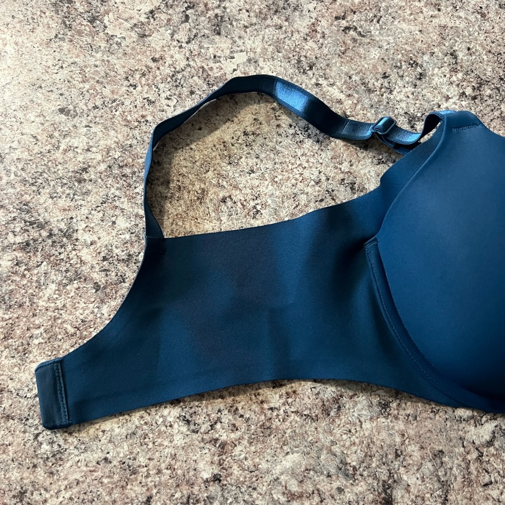 Warner's Deep Blue Bra